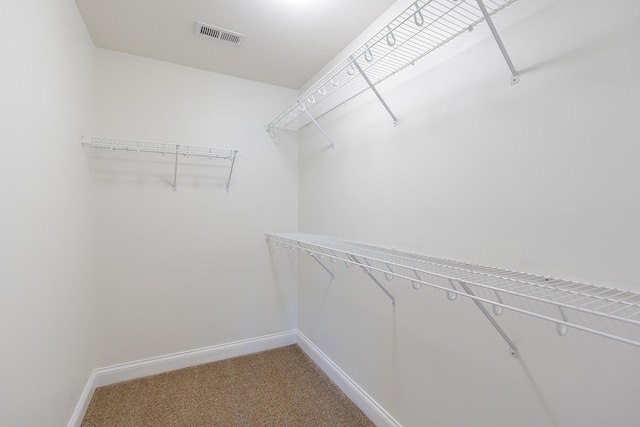101 Brookford Way, Georgetown, KY 40324 - walk in closet with light carpet