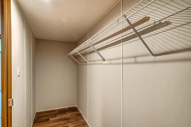2832 Two Mile Rd, Winchester, KY 40391 - walk in closet with wood finished floors