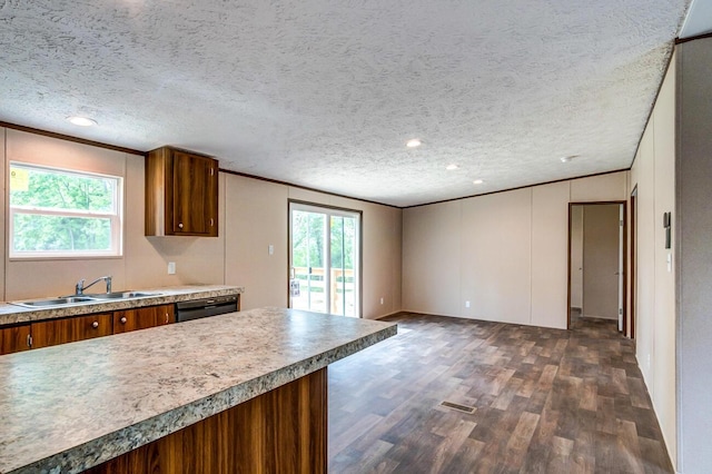 2832 Two Mile Rd, Winchester, KY 40391 - kitchen with a sink, dark wood-style flooring, ornamental molding, brown cabinetry, and plenty of natural light