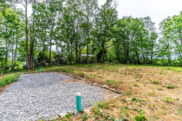 2832 Two Mile Rd, Winchester, KY 40391 - view of yard