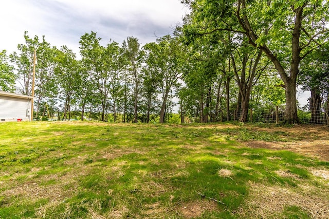 2832 Two Mile Rd, Winchester, KY 40391 - view of yard