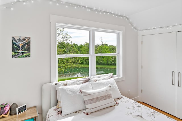 1251 Wilmore Rd, Nicholasville, KY 40356 - bedroom with vaulted ceiling, a closet, and a water view