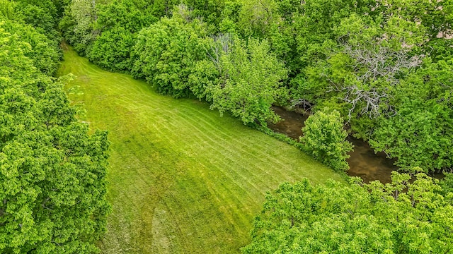 1251 Wilmore Rd, Nicholasville, KY 40356 - view of yard