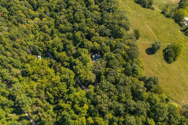 3786 Shoemaker Rdg, Beattyville, KY 41311 - bird's eye view of a forest