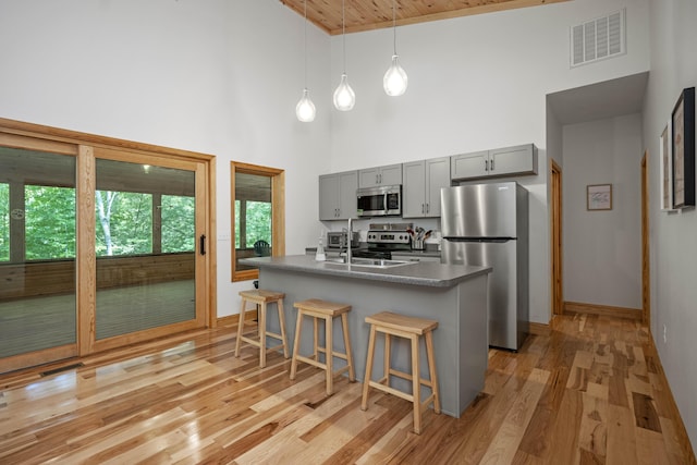 3786 Shoemaker Rdg, Beattyville, KY 41311 - kitchen with appliances with stainless steel finishes, gray cabinetry, a towering ceiling, a breakfast bar, and light wood-type flooring