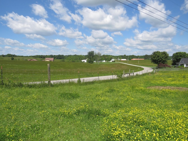 498 Winding Blade Rd, East Bernstadt, KY 40729 - view of yard with a rural view