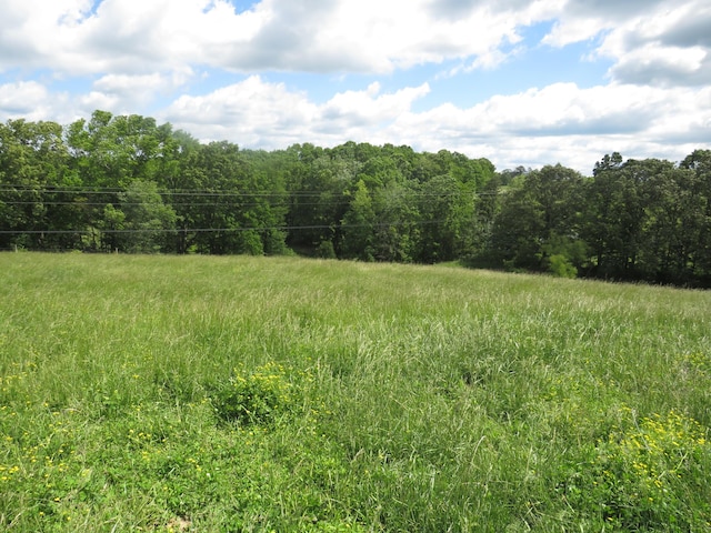 498 Winding Blade Rd, East Bernstadt, KY 40729 - view of tree filled area