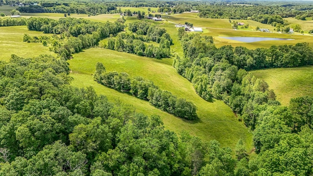 498 Winding Blade Rd, East Bernstadt, KY 40729 - bird's eye view of a nearby body of water