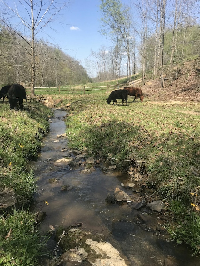 498 Winding Blade Rd, East Bernstadt, KY 40729 - view of road featuring a view of rural / pastoral area