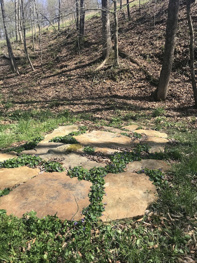 498 Winding Blade Rd, East Bernstadt, KY 40729 - view of undeveloped land