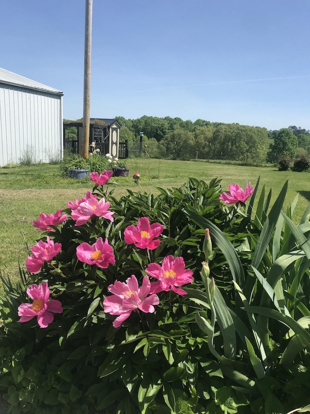 498 Winding Blade Rd, East Bernstadt, KY 40729 - view of grassy yard