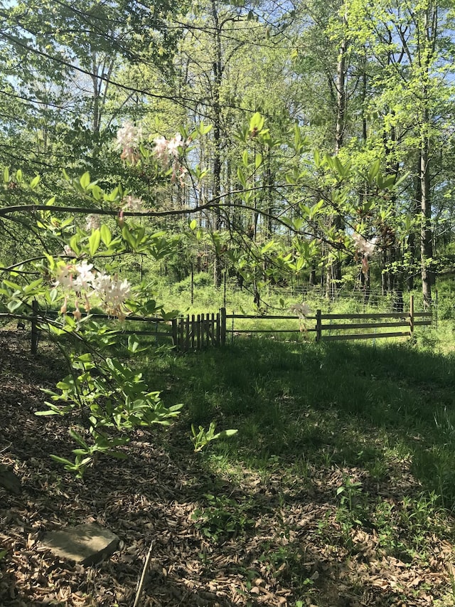 498 Winding Blade Rd, East Bernstadt, KY 40729 - view of yard