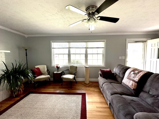 498 Winding Blade Rd, East Bernstadt, KY 40729 - living room featuring light wood finished floors, ceiling fan, crown molding, a textured ceiling, and baseboards