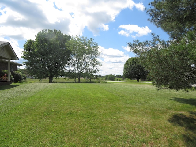 498 Winding Blade Rd, East Bernstadt, KY 40729 - view of grassy yard