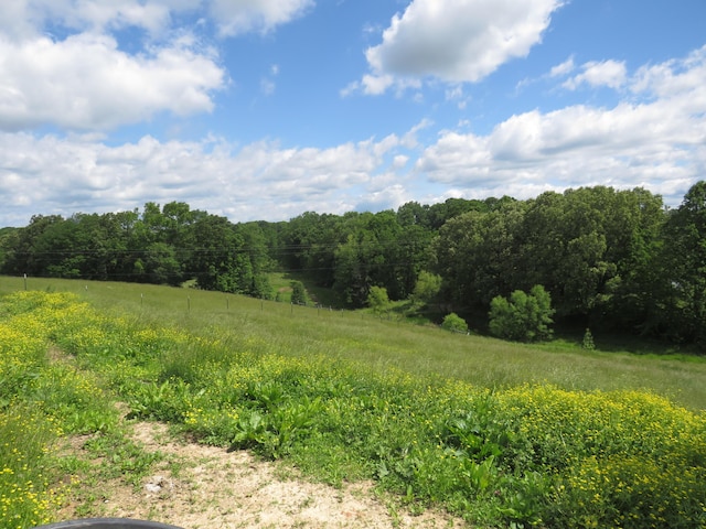 498 Winding Blade Rd, East Bernstadt, KY 40729 - view of woods with a view of rural / pastoral area