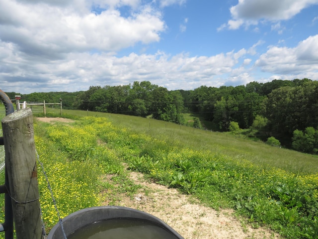 498 Winding Blade Rd, East Bernstadt, KY 40729 - view of yard with a forest view and a view of rural / pastoral area