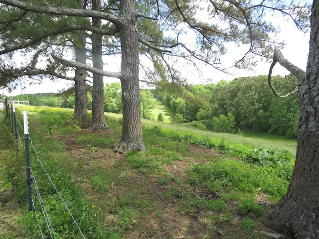 498 Winding Blade Rd, East Bernstadt, KY 40729 - view of wooded area