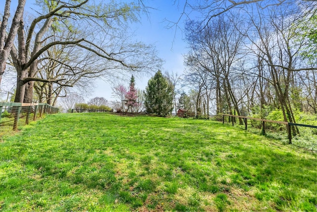 1483 Cypress St, Paris, KY 40361 - view of yard