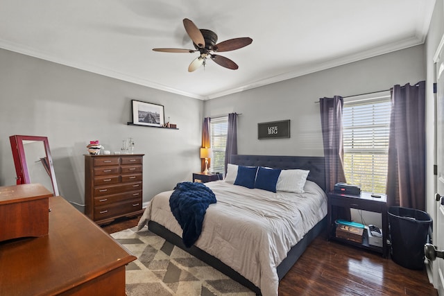 929 Lauderdale Dr, Lexington, KY 40515 - bedroom featuring wood finished floors, ornamental molding, and ceiling fan