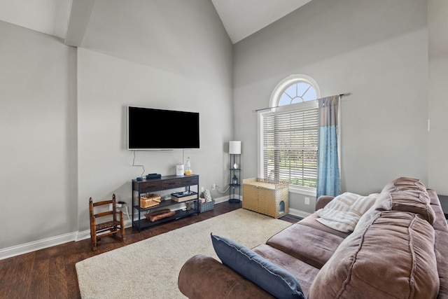 929 Lauderdale Dr, Lexington, KY 40515 - living room with plenty of natural light, wood finished floors, baseboards, and high vaulted ceiling