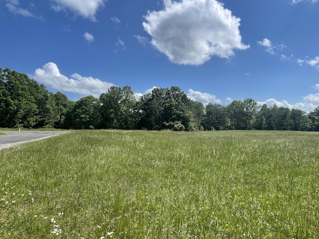 LOT103 Stillwater, Russell Springs, KY 42642