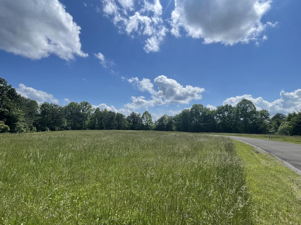 LOT103 Stillwater, Russell Springs, KY 42642