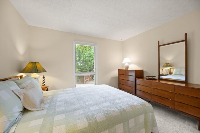 42-1 Woodson Bend Resort, Bronston, KY 42518 - bedroom with light carpet and a textured ceiling