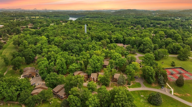 42-1 Woodson Bend Resort, Bronston, KY 42518 - bird's eye view of a heavily wooded area