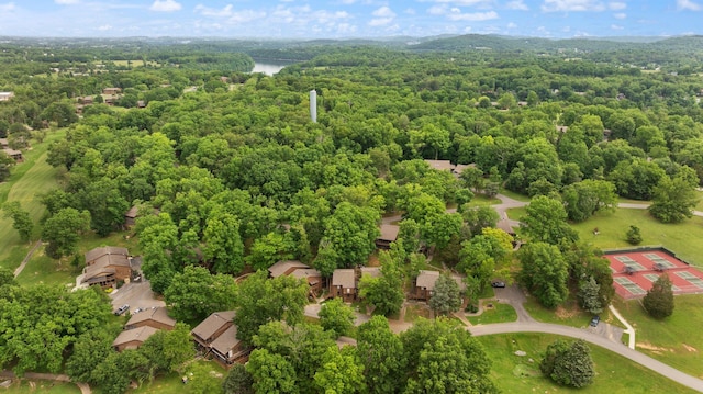 42-1 Woodson Bend Resort, Bronston, KY 42518 - aerial view of a heavily wooded area and a nearby body of water