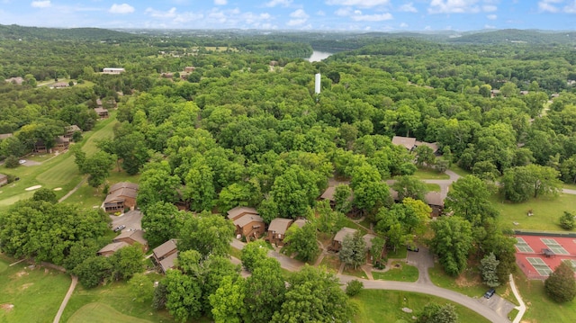 42-1 Woodson Bend Resort, Bronston, KY 42518 - drone / aerial view of a forest and a nearby body of water