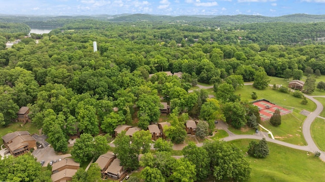 42-1 Woodson Bend Resort, Bronston, KY 42518 - bird's eye view of a forest and a nearby body of water