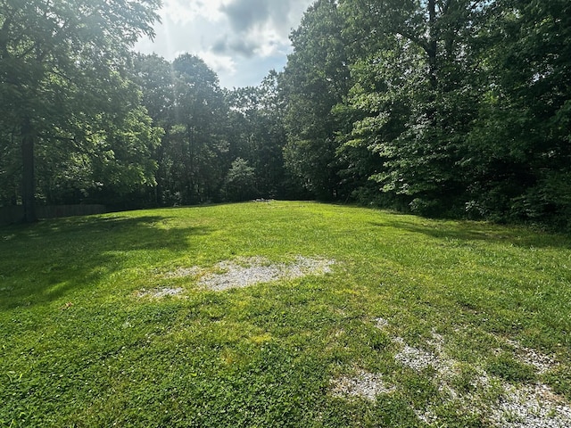1901 Holly Grove Rd, Corbin, KY 40701 - view of yard featuring a wooded view