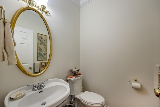 115 Old Bridge Rd, Danville, KY 40422 - bathroom with a sink, crown molding, and toilet
