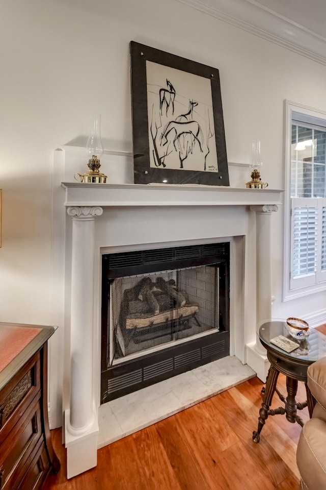 115 Old Bridge Rd, Danville, KY 40422 - detailed view of a fireplace with raised hearth, ornamental molding, and wood finished floors