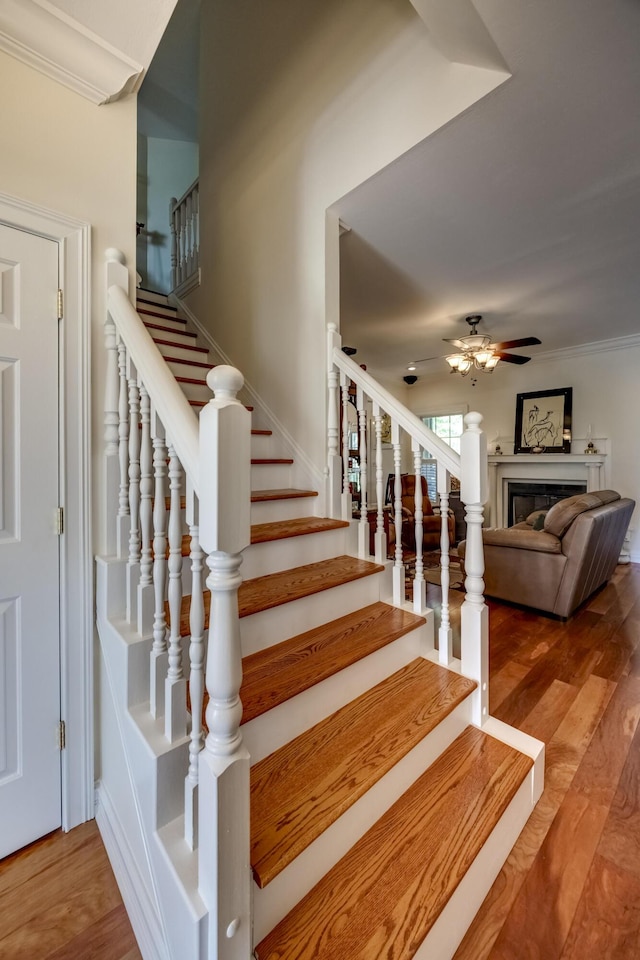 115 Old Bridge Rd, Danville, KY 40422 - stairway featuring ceiling fan, a fireplace, wood finished floors, and crown molding