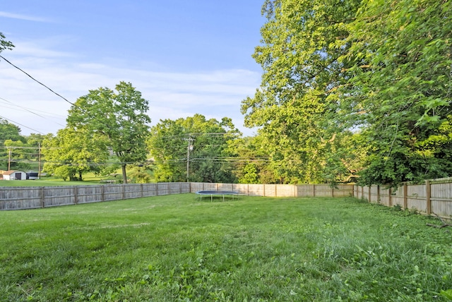 126 Frankie Dr, Richmond, KY 40475 - view of yard featuring a trampoline