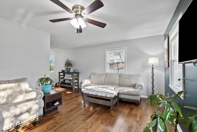 126 Frankie Dr, Richmond, KY 40475 - living room with hardwood / wood-style floors, ceiling fan, and healthy amount of natural light