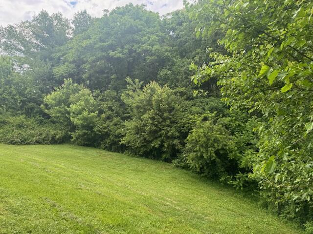 77 Bethy Rd, London, KY 40744 - view of green lawn featuring a forest view