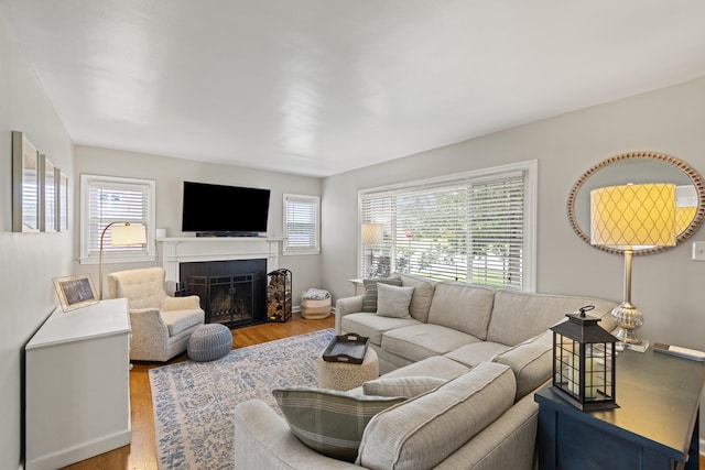 298 Hill N Dale Rd, Lexington, KY 40503 - living room featuring healthy amount of natural light, a fireplace, and wood finished floors