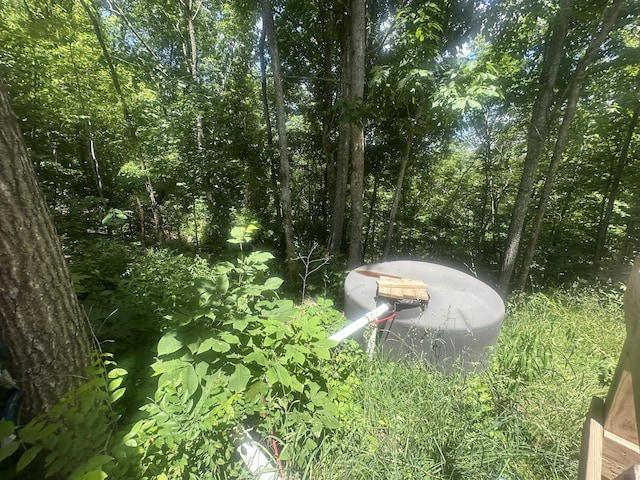 853 Rock Springs Rd, Celina, TN 38551 - exterior view of a heavily wooded area