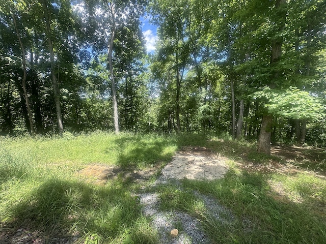 853 Rock Springs Rd, Celina, TN 38551 - view of undeveloped land