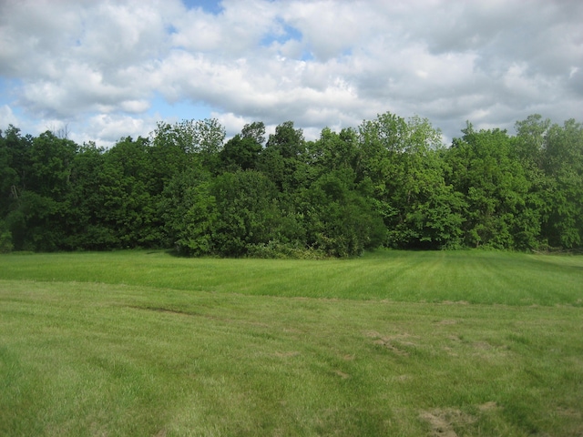 2960 Old Bloomfield Rd, Bloomfield, KY 40008 - view of green lawn with a forest view
