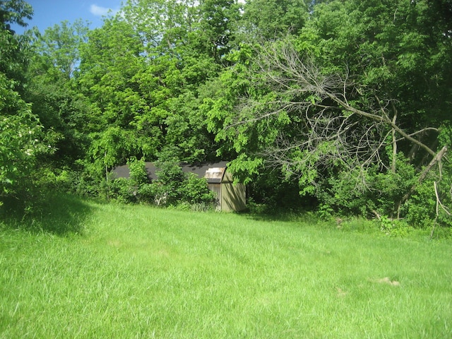 2960 Old Bloomfield Rd, Bloomfield, KY 40008 - view of yard