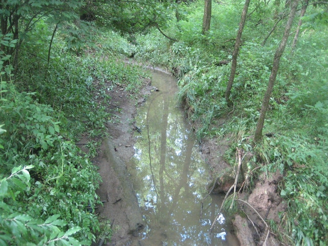 2960 Old Bloomfield Rd, Bloomfield, KY 40008 - view of undeveloped land