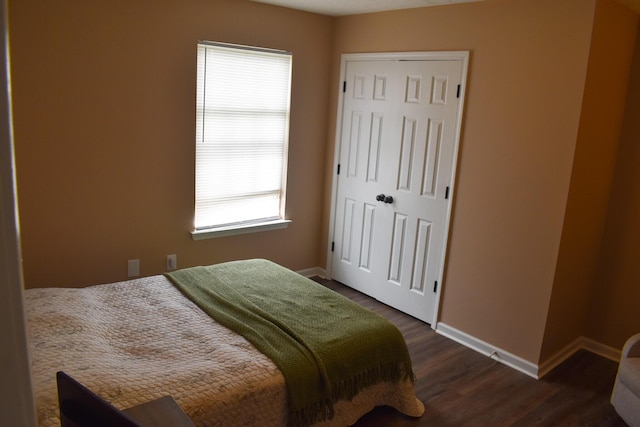 200 Manoah Ln, Nicholasville, KY 40356 - bedroom with multiple windows, baseboards, dark wood-style floors, and a closet