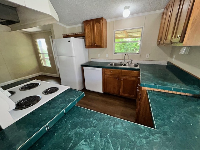 376 Cumberland Dr, Burnside, KY 42519 - kitchen with a sink, white appliances, under cabinet range hood, brown cabinetry, and dark wood-type flooring