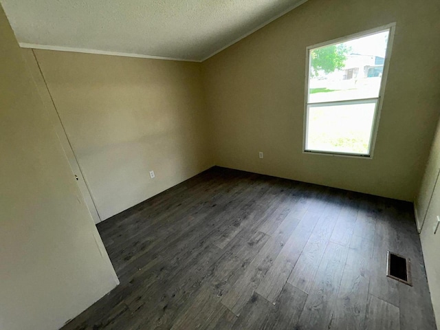 376 Cumberland Dr, Burnside, KY 42519 - empty room featuring dark wood-style floors, a textured ceiling, and vaulted ceiling