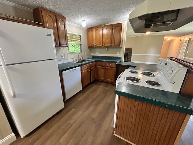 376 Cumberland Dr, Burnside, KY 42519 - kitchen with white appliances, extractor fan, a sink, crown molding, and dark wood-type flooring