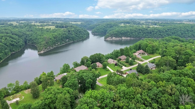 512 Water Cliff Dr, Somerset, KY 42503 - bird's eye view of a large body of water and a heavily wooded area