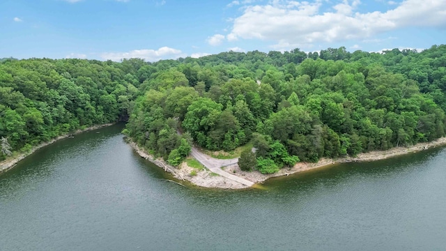 512 Water Cliff Dr, Somerset, KY 42503 - aerial view of a forest and a large body of water